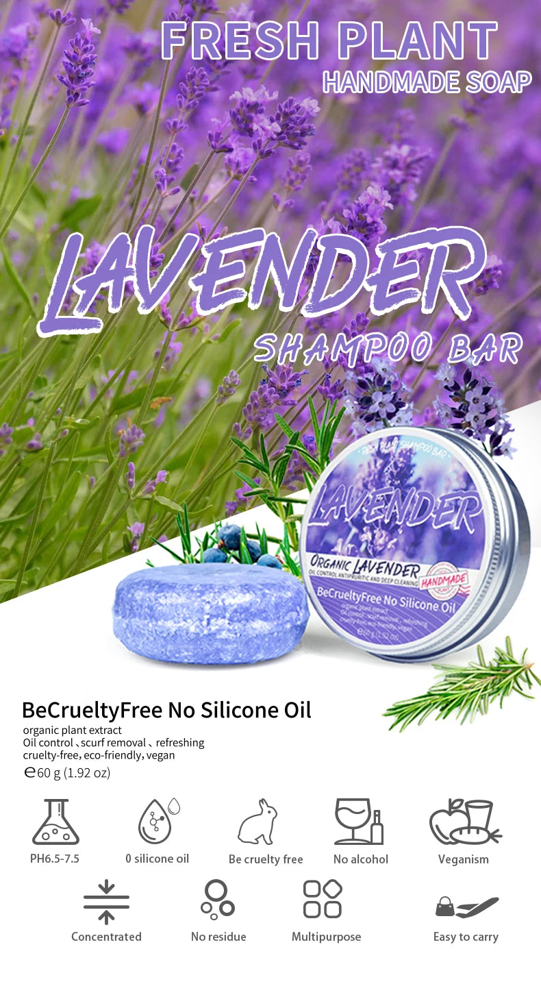 Lavender shampoo is refreshing, oil controlling, and smooth for hair, solving the problem of oily scalp without silicone oil res